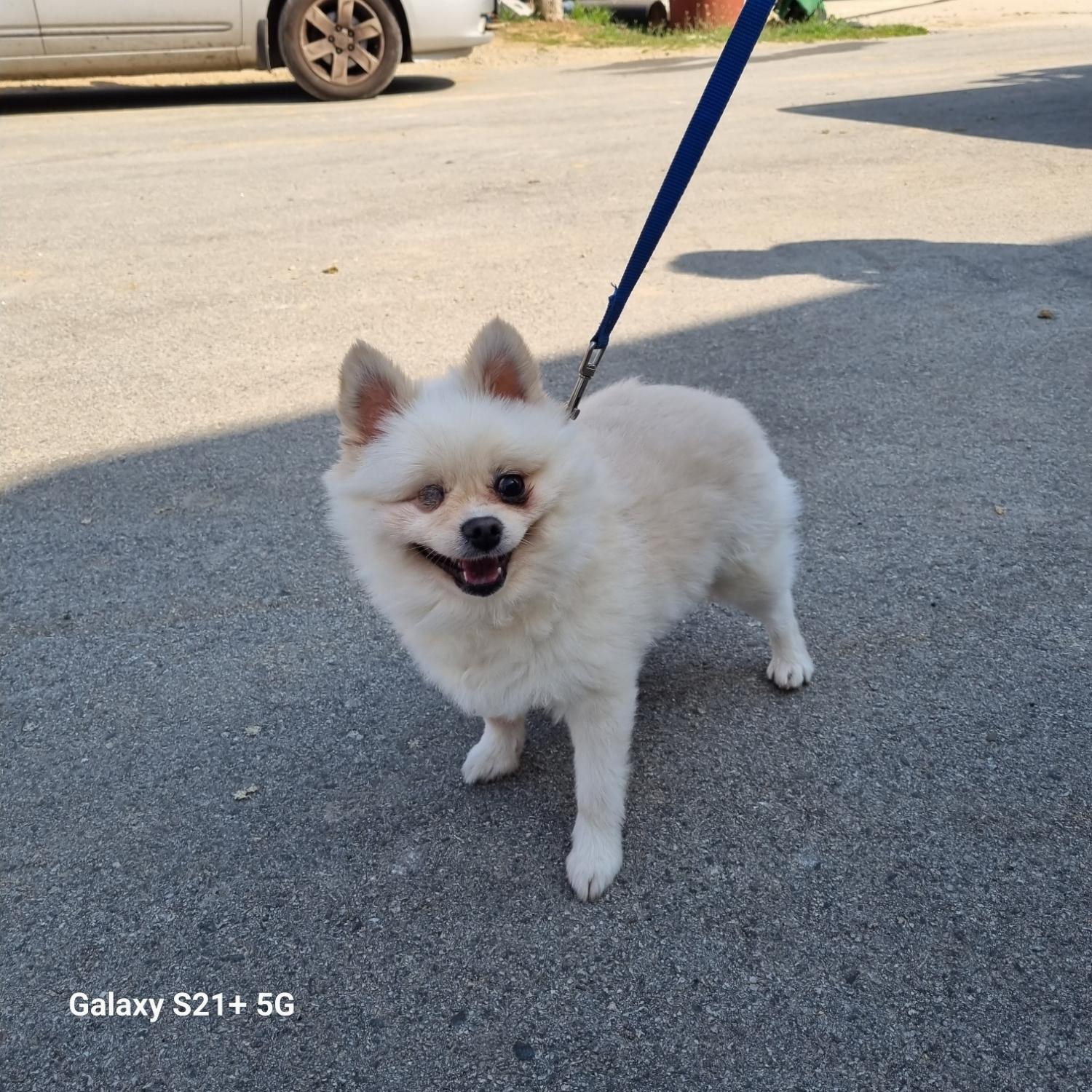 전북말산업복합센터_445471202300075